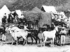 patrimoine-taourirt-camp-caravane