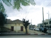 Berkane