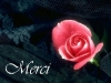 merci