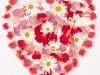 valentin7