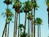 Oujda 2